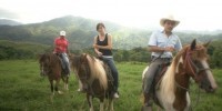 honduras video horses