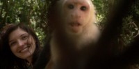 honduras monkey video grab